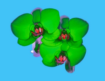 F 043L